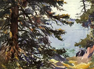 Spruce: Through the Spruces