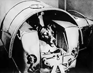 Sputnik: SPUTNIK II