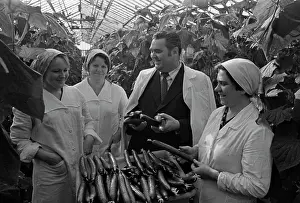 Altay: Sputnik Vegetable State Farm in Barnaul