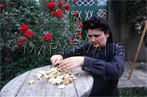 Peonies: SQUANDERING BREAD 1940S