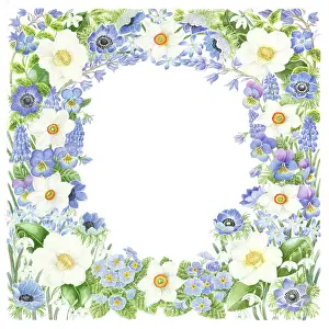 Camellia: Square blue and white floral border design