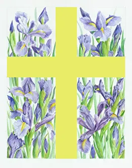 Square border with cross