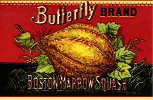 Squash: Squash Label
