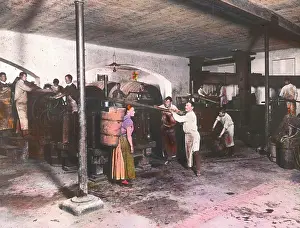 Winegrowing: At the squeezers in the wine cellar
