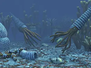 Cambrian: Squid-like Orthoceratites attempt to make meals of ?