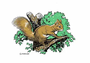 Lees: Squirrel