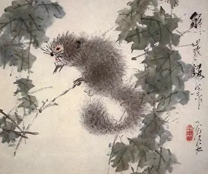 Grapevine: Squirrel