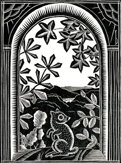 The Watts Collection: Squirrel