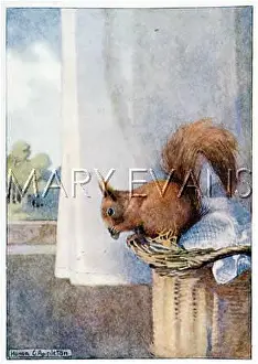 C1917: SQUIRREL EATS NUTS C1917