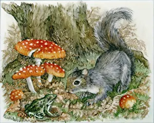 Whitaker: Squirrel and frog by toadstools