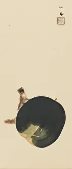 Seiko: Squirrel on fruit