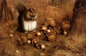Feasts: Squirrel in Landscape with Nuts
