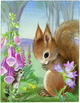 Heda: Squirrel with mouse and foxgloves