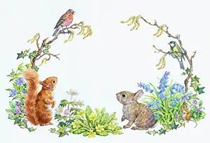 Catkins: Squirrel, Rabbit, Mouse, Chaffinch and Tit