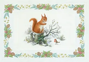 Cooke: Squirrel and robin in snow