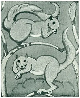 Aime: Squirrels