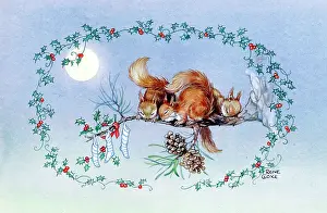 Cloke: Squirrels and Christmas Stockings
