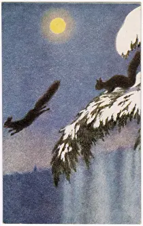 Frolic: SQUIRRELS AT NIGHT 1905