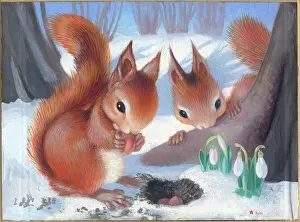 Heda: Two Squirrels with nuts and snowdrops