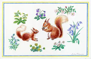 Cowslip: Two squirrels with spring flowers