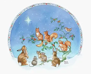 Cloke: Squirrels, thrush, rabbits and mice