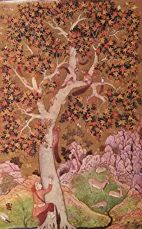 Leap: Squirrels in Tree