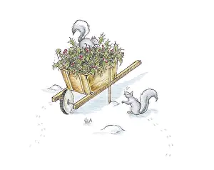 Miyuki: Squirrels in wheelbarrow of holly