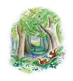 Wickham: Squirrels in a Woodland Glade