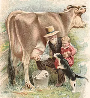 Babe: Squirting Milk at Cat