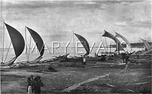 Outrigger: SRI LANKA/CANOES 1893
