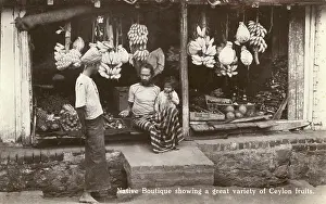 Coconuts: Sri Lanka - Fruit Seller