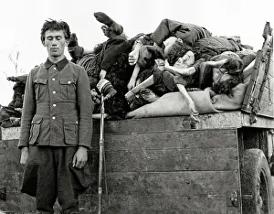 Dysentery: SS guard - Bergen-Belsen