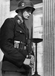Leib: SS Honours Guards at the Munich Konigsplatz