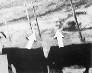 Apparitions: SS WATERTOWN