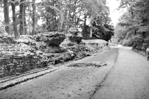 Verulamium: St Albans, the Roman Wall, Verulamium c1955