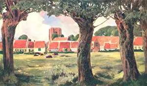 Gnarled: St. Anna Ter Muiden