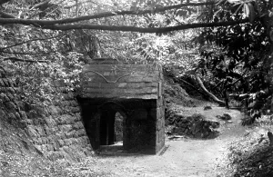 Austell: St Austell, Menacuddle Well c1955