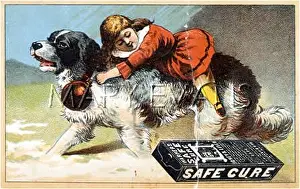 Kidneys: ST BERNARD ADVERTISING
