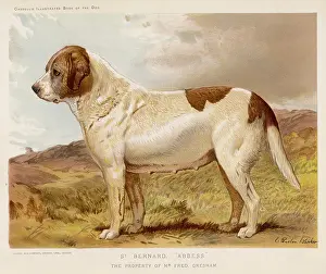 Abbess: ST BERNARD (BARBER)