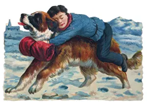 Bernards: St Bernard Rescues Boy