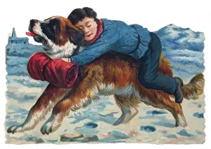 Rescues: St Bernard Rescues Boy