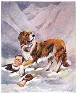 Bernards: St Bernard and Victim