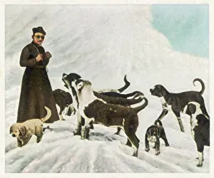 Bernards: ST BERNARDS IN TIBET