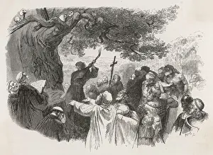 Boniface: ST BONIFACE/SACRED OAK