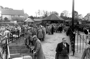 Columb: St Columb Major, Market Day c1955