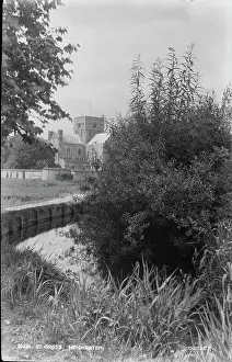 Bushes: St. Cross, Winchester