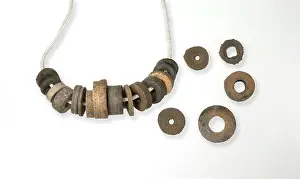 Phanerozoic: St. Cuthbert's Beads - rosary of crinoids