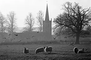 Frosty: St Edmund's, Oakham, Leics