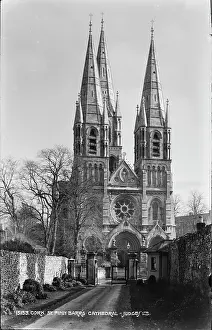 Spires: St. Finbarr's Cathedral