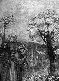 Assisi: St Francis of Assisi